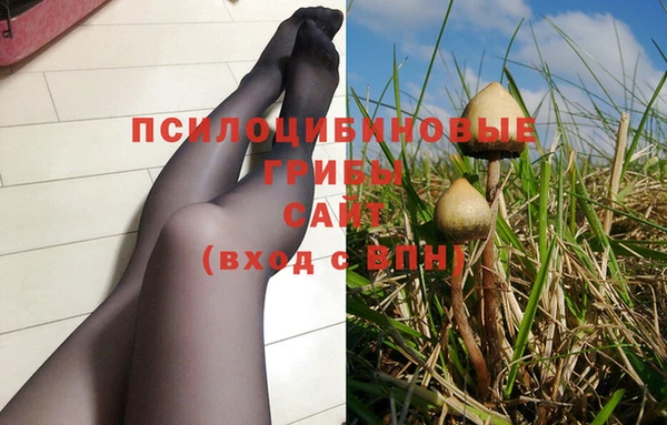 меф Каменск-Шахтинский