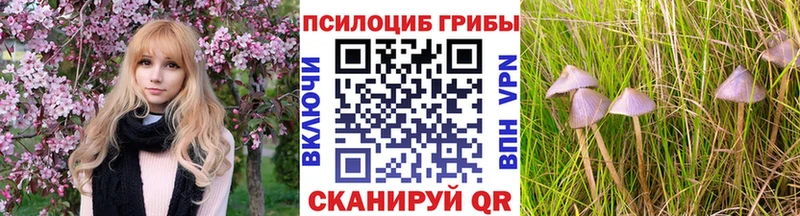 Купить где  Ипатово  Галлюциногенные грибы Cubensis 